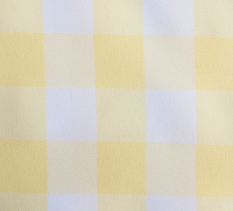 Yellow & White Gingham